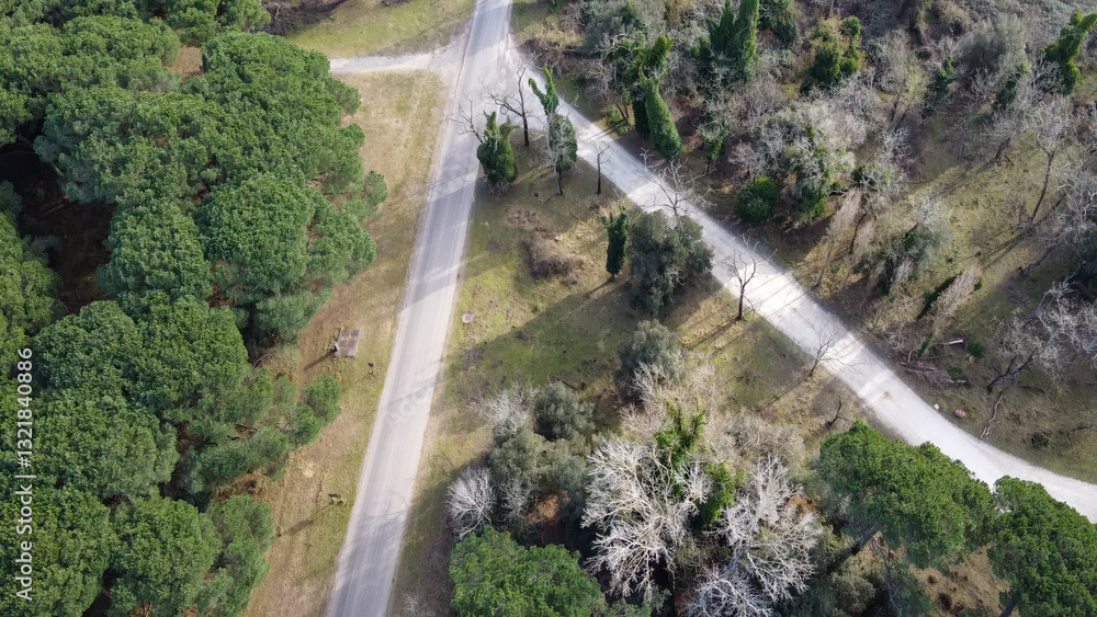Aerial view of San Rossore Natural Park in Pisa, Italy, with lush greenery and coastline