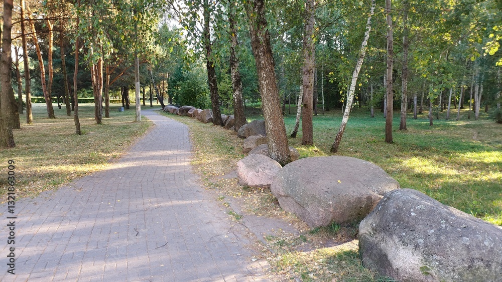 Fototapeta premium In the city park, a tiled walkway is laid out among pine, aspen and birch trees growing on grassy lawns. There are many boulders along it. Sunny autumn weather