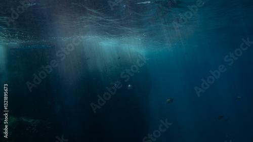 underwater scene with coral reef
