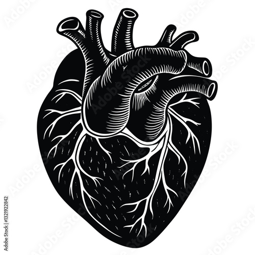 Anatomical Heart Illustration: A detailed, monochromatic illustration of a human heart, perfect for medical or educational purposes. Showcasing intricate veins and arteries.