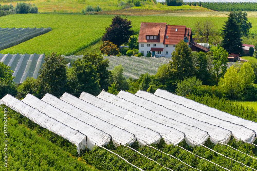 Aerial view of scenic countryside with red roof house and lush croplands