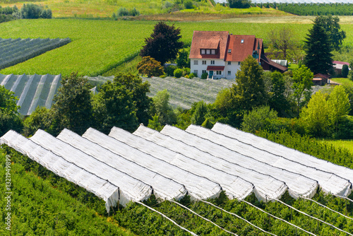 Obraz na płótnie Aerial view of scenic countryside with red roof house and lush croplands w salonie
