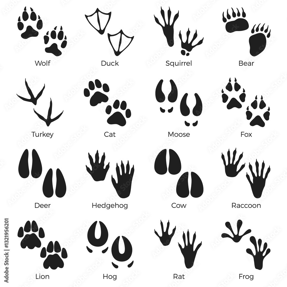 Animals footprints black silhouettes. Birds, reptiles and mammals feet prints, wild fauna steps, paws traces, wild wolf, duck and frog steps, pawprint icons, nowaday vector isolated set