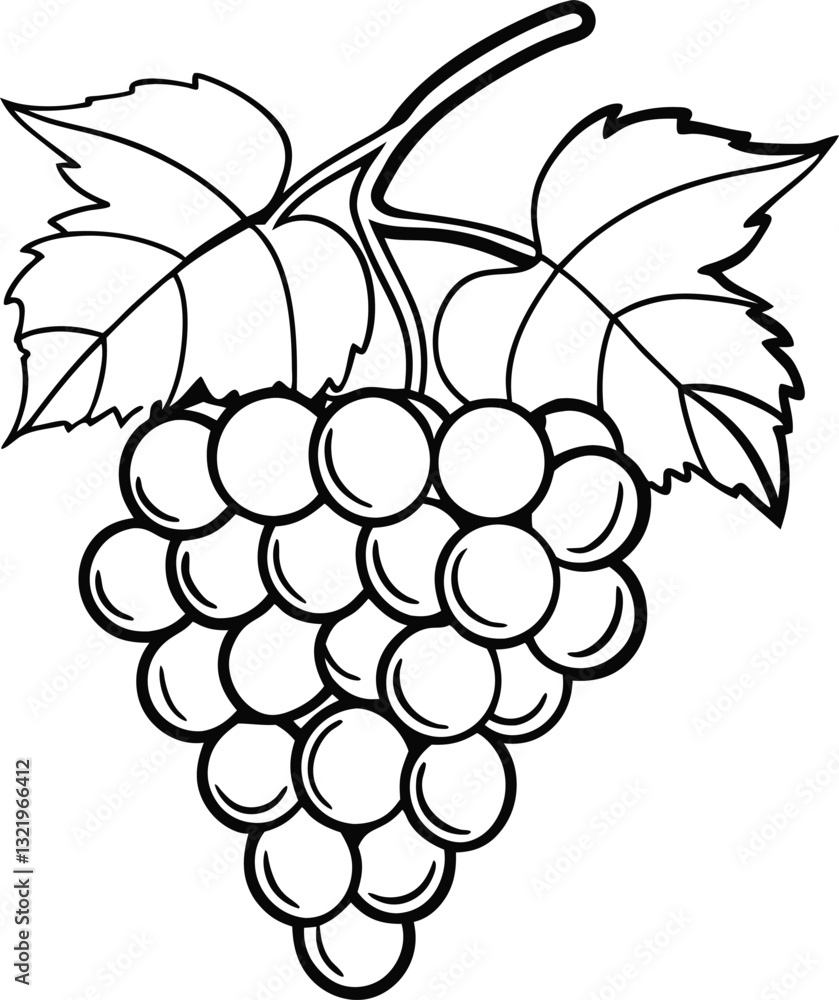 Fototapeta premium Hand-Drawn Illustration of Grapevine with Clusters and Leaves in Black and White