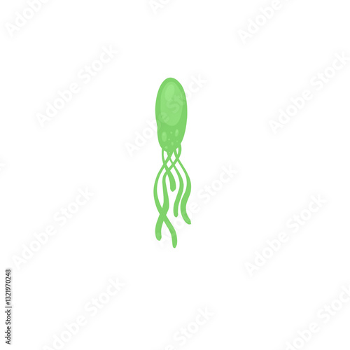 Helicobacter pylori bacteria