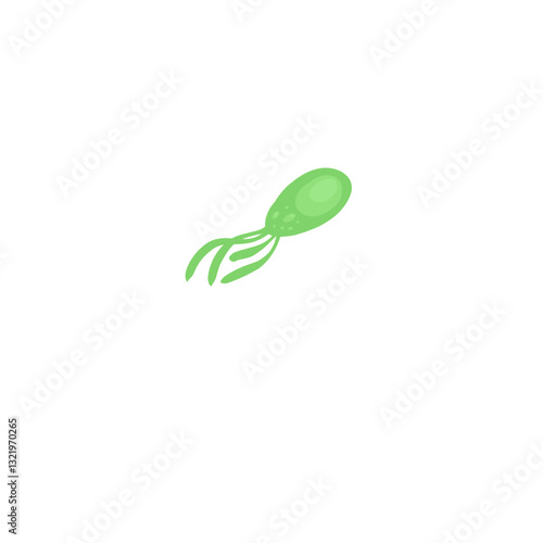 Helicobacter pylori bacteria