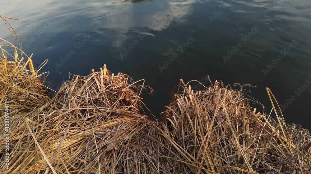 Close up of riverside grass and flowing river water Close up of riverside grass and flowing river water