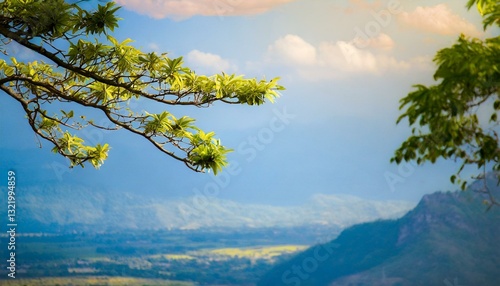 A solitary tree stands on a gentle hill under a soft green sky, capturing a quiet sense of minimalism and calm