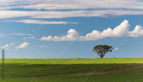 A solitary tree stands on a gentle hill under a soft green sky, capturing a quiet sense of minimalism and calm