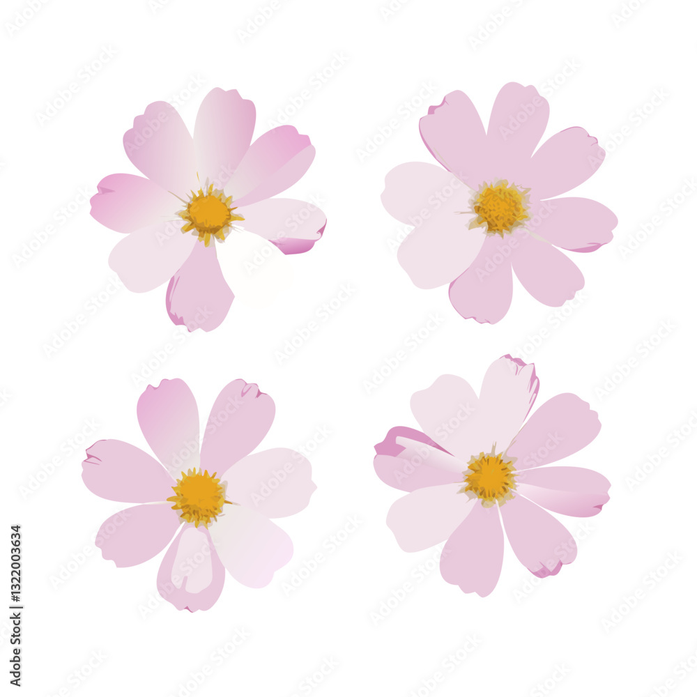 Light Pink Cosmos Vector Unique Floral Styles with Yellow Center on White Background Light Pink Cosmos Vector Unique Floral Styles with Yellow Center on White Background