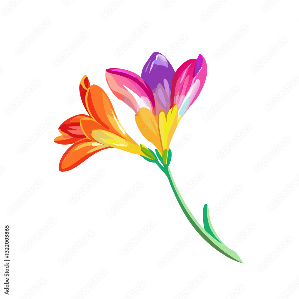 Naklejka premium Floral Embrace: A delicate depiction of a vibrant freesia flower in full bloom, with petals painted in radiant hues of orange, pink, and purple, evokes feelings of spring's renewal and natural beauty.