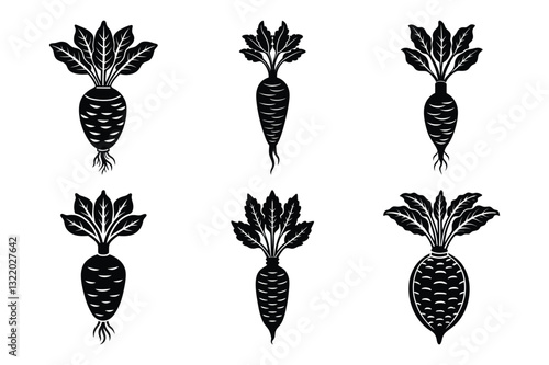 Daikon sets icon vector on White Background ,Vector Art Illustration on white background.