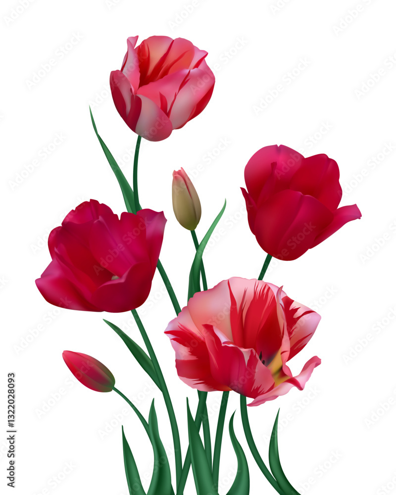 Beautiful bouquet of red and pink tulips on a white background. Blooming flowers. Spring flower. Buds. Green leaves. Beautiful bouquet of red and pink tulips on a white background. Blooming flowers. Spring flower. Buds. Green leaves.