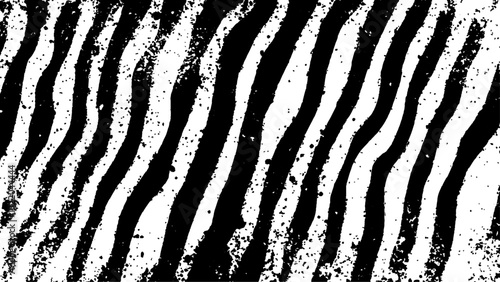 Texture with plain black and white zebra pattern, Black and white wavy stripes.  Abstract background. abstract graffiti shape in black and white, aligned with viewer’s perspective.