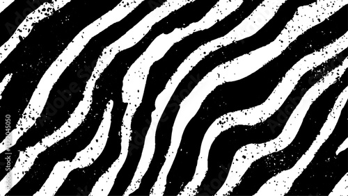 Texture with plain black and white zebra pattern, Black and white wavy stripes.  Abstract background. abstract graffiti shape in black and white, aligned with viewer’s perspective.