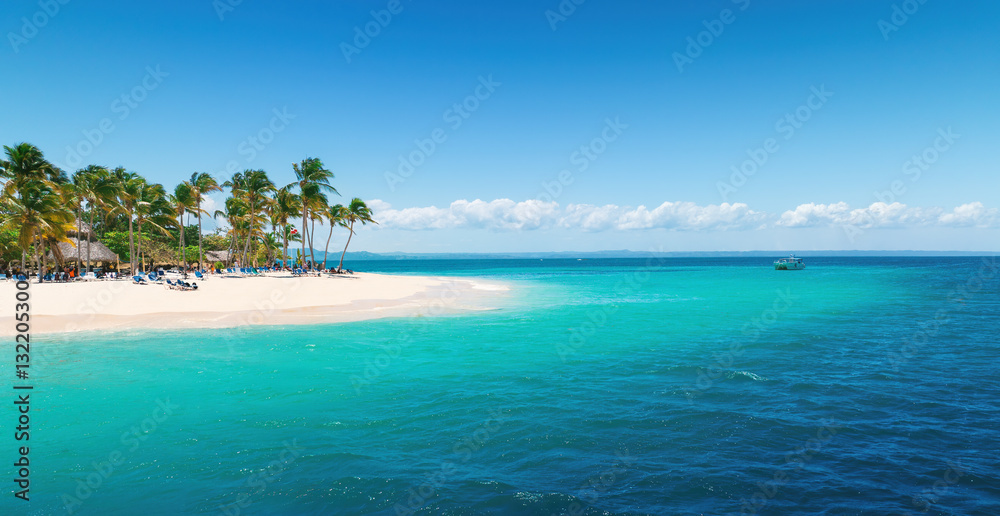 Aerial view over Caribbean Sea and Exotic Palm trees on Bacardi Island Cayo Levantado Samana Bay Dominican Republic Aerial view over Caribbean Sea and Exotic Palm trees on Bacardi Island Cayo Levantado Samana Bay Dominican Republic