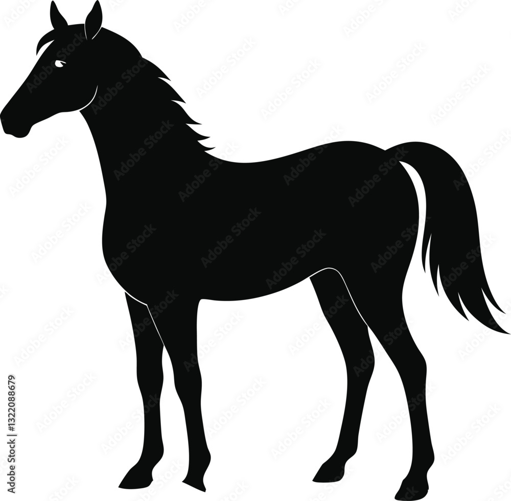 Obraz premium Morgan Horse Silhouette, Horse Silhouette Icon Vector