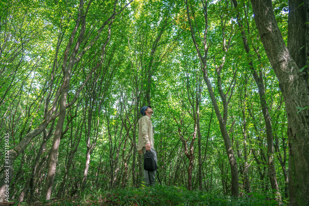 Male hiker walking confidently in a forested mountain area, wearing a hat and backpack, surrounded by lush green trees and dappled sunlight. Male hiker walking confidently in a forested mountain area, wearing a hat and backpack, surrounded by lush green trees and dappled sunlight.