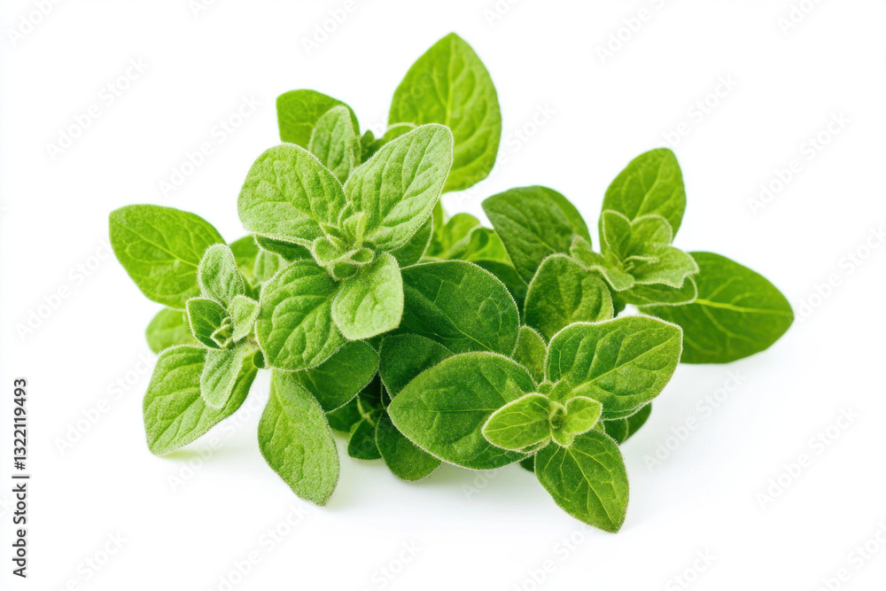 Oregano leaves on a white background ready for culinary use and herbal applications, captured in high detail Oregano leaves on a white background ready for culinary use and herbal applications, captured in high detail