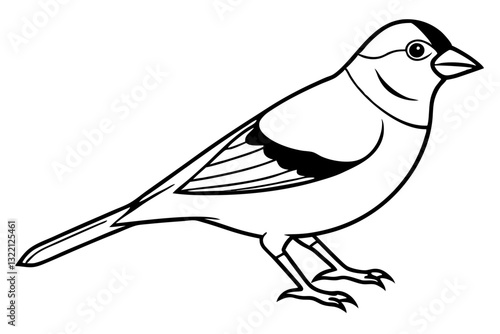 Elegant Goldfinch Vector Art. Nature’s Beauty in Design