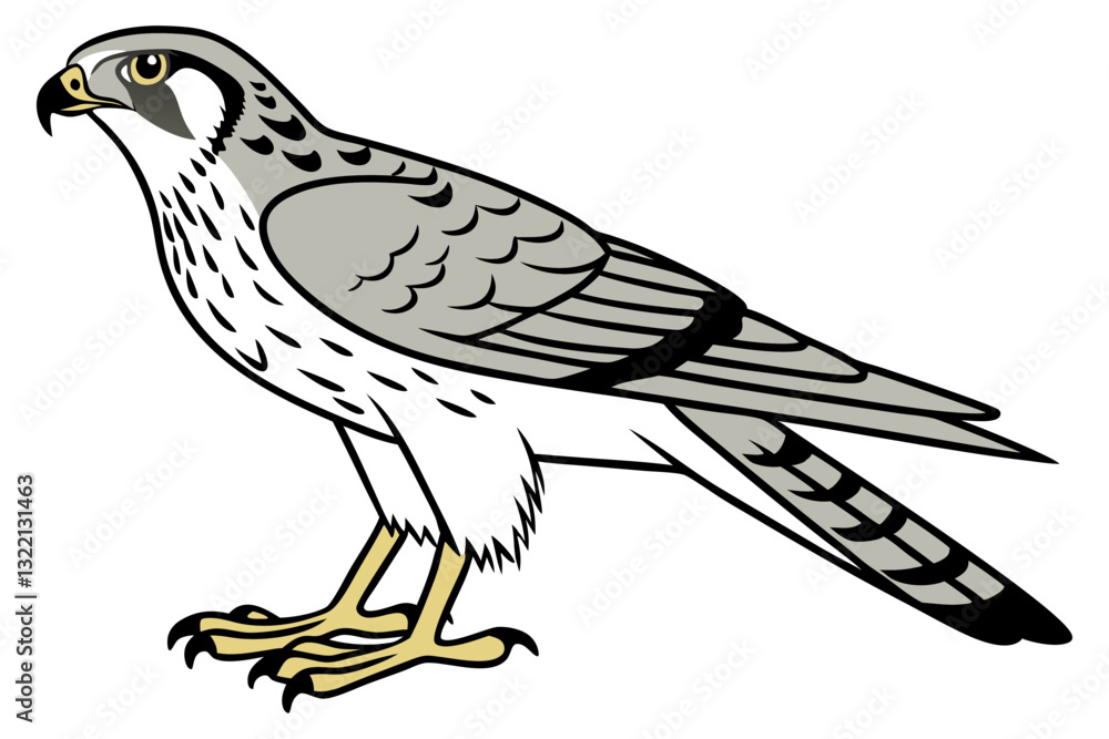 Fototapeta premium Harrier Bird Vector Art for Wildlife Enthusiasts