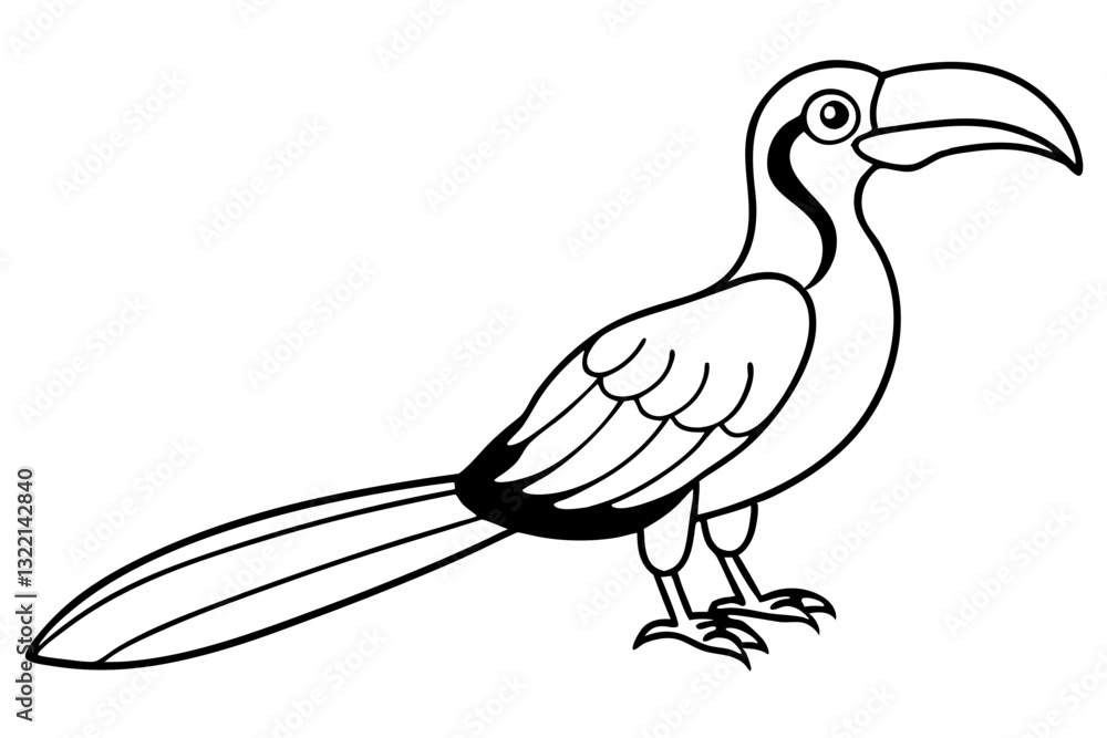 Obraz premium Beautiful Hornbill Vector Art. Wildlife and Nature Themes