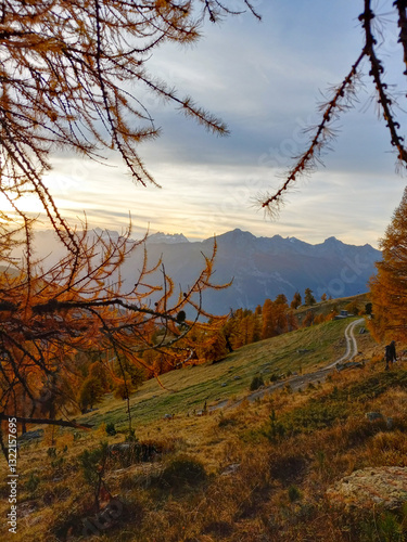 Obraz na płótnie sunset in the mountains with a dirt road, orange larch trees in the fall in a mountain landscape w salonie