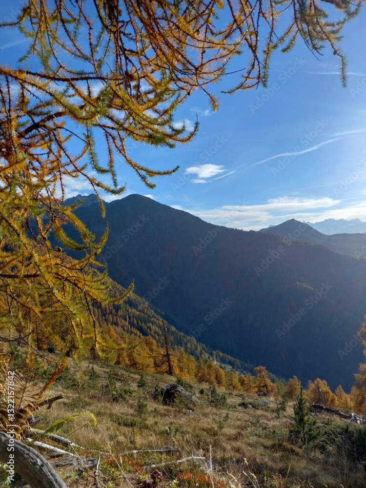 autumn landscape in the mountains in the background with a sunny sky, and orange needles of a larch tree