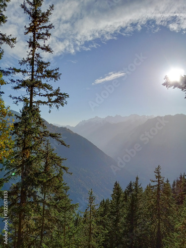 Obraz na płótnie Evergreen in Switzerland with the mountains in the background with sun rays w salonie