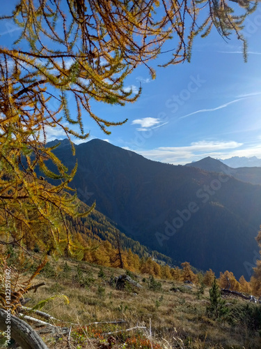 Obraz na płótnie autumn landscape in the mountains in the background with a sunny sky, and orange needles of a larch tree w salonie