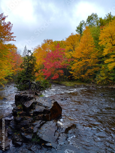 Obraz na płótnie autumn in the forest by a river, with birch and maple trees in Quebec w salonie