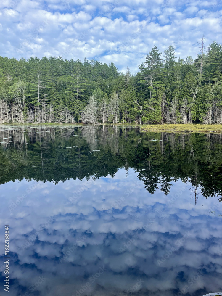 reflection of trees in lake with forest taken in a regional park in Quebec, Canada during summer