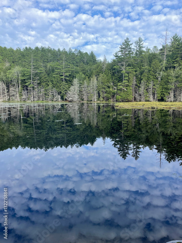 Obraz na płótnie reflection of trees in lake with forest taken in a regional park in Quebec, Canada during summer w salonie