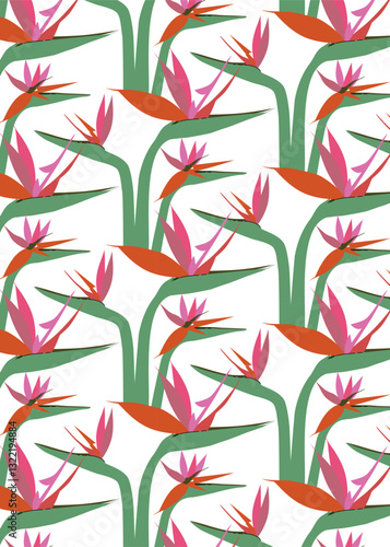 Seamless pattern with Bird of Paradise flowers. Tropical floral background with exotic hand-drawn stylized Strelitzia. Elegant vector illustration in flat style for fashion prints, textile, wallpapers