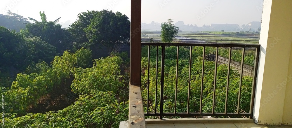 Fototapeta premium Peaceful Balcony View Over Greenery and Rice Fields (1)