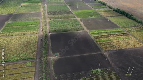 plant nursery