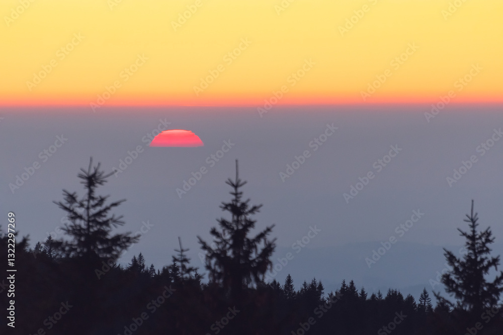 Orange sunset over the trees, the red disk of the sun hides behind the horizon.