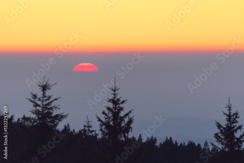 Obraz na płótnie Orange sunset over the trees, the red disk of the sun hides behind the horizon. w salonie
