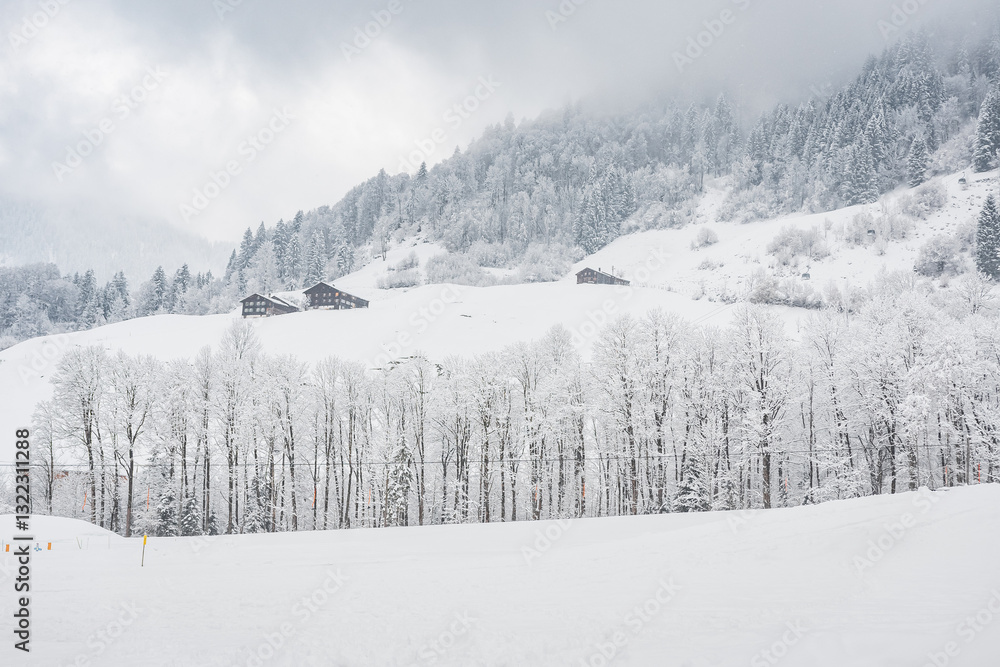 Winter landscape with snowy trees, view during mountain hike on hiking trail. Winter day with cloudy and foggy weather.