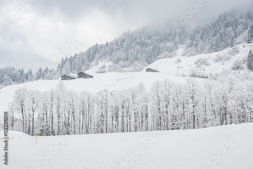 Obraz na płótnie Winter landscape with snowy trees, view during mountain hike on hiking trail. Winter day with cloudy and foggy weather. w salonie