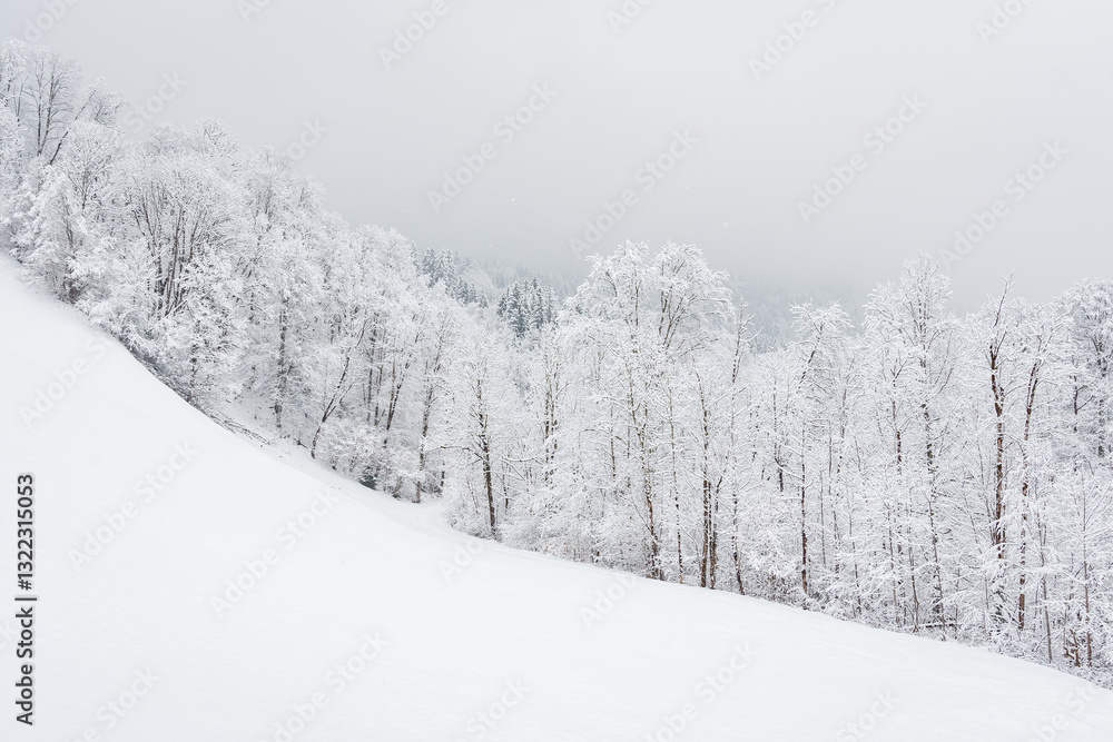 Winter landscape with snowy trees, view during mountain hike on hiking trail. Winter day with cloudy and foggy weather.