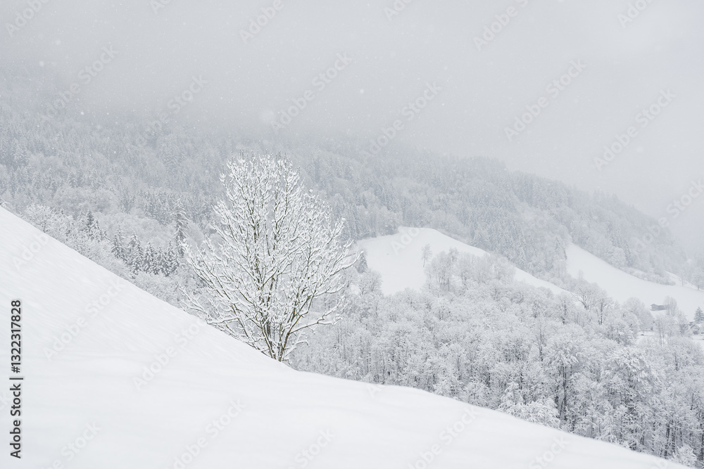 Winter landscape with snowy trees, view during mountain hike on hiking trail. Winter day with cloudy and foggy weather.