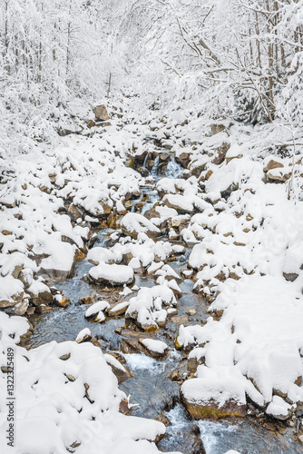 Obraz na płótnie Mountain river in winter, water flows down the riverbed over snow-covered rocks. Winter landscape on a mountain hiking trail. w salonie
