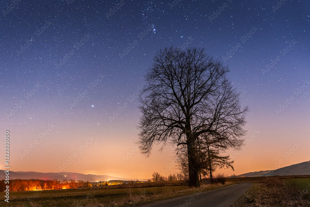 Night landscape, single tree against the stars. Long exposure of the night sky.