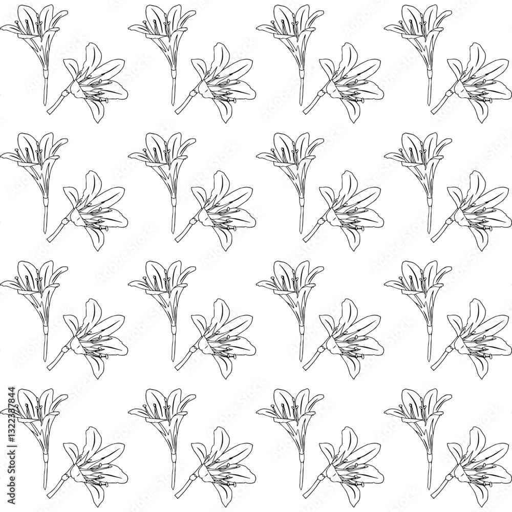 Lily flowers in doodle style. Seamless pattern. Vector illustration. Lily flowers in doodle style. Seamless pattern. Vector illustration.
