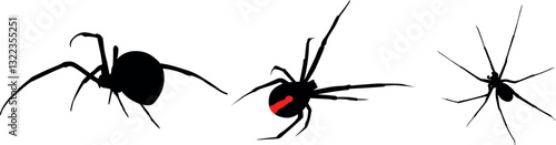Set poisonous spiders, tarantula, black widow. Vector design concept arachnophobia, danger, black silhouette