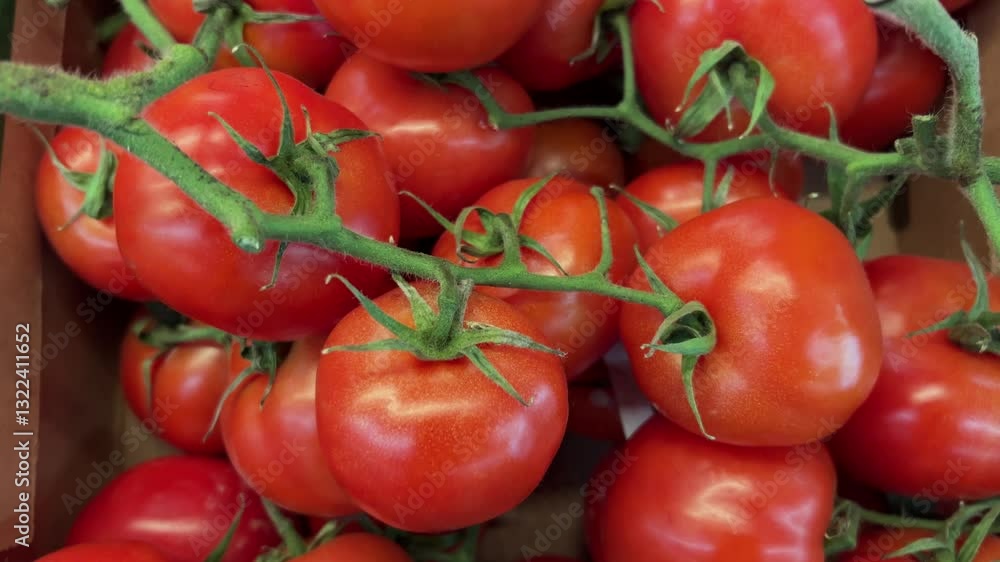 Cluster red tomatoes in crate displayed in supermarket, slider tracking shot in top view on tomato Cluster red tomatoes in crate displayed in supermarket, slider tracking shot in top view on tomato