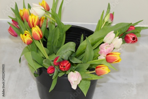 a bouquet of tulips in different colors in a bucket