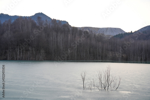 Winter landscape of an ice covered lake surface,  with lonely tree branches frozen in the lake