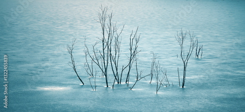 Winter landscape of an ice covered lake surface,  with lonely tree branches frozen in the lake